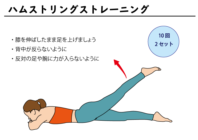 ハムストリングストレーニング 伏臥位 自主トレばんく セルフリハビリ指導用イラスト資料集