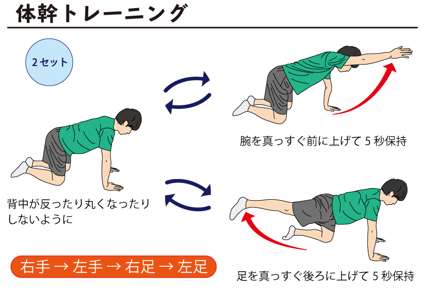 体幹トレーニング 四つ這い 自主トレばんく 筋トレ ストレッチ リハビリの無料イラスト