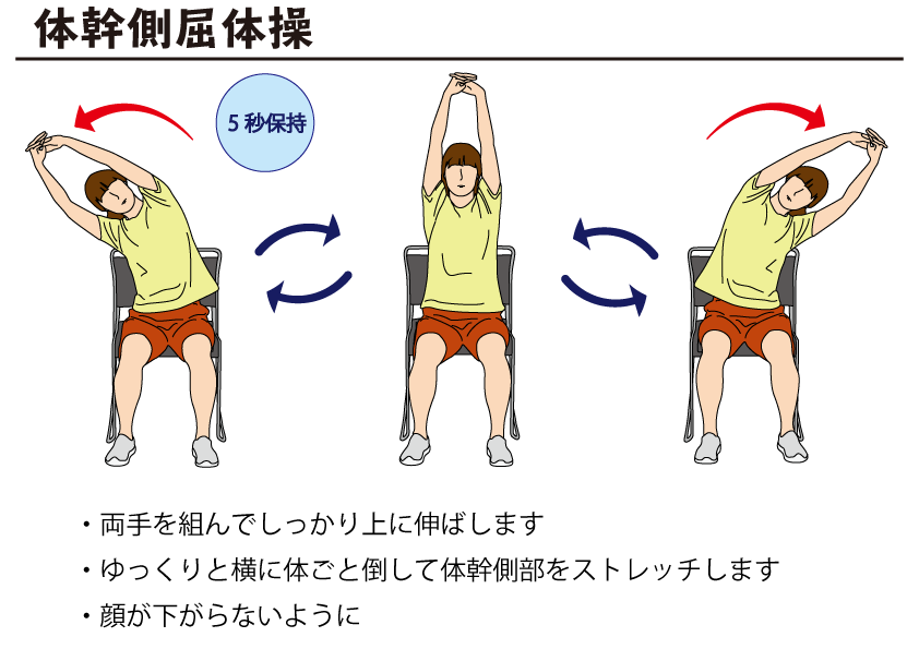 体幹側屈体操 自主トレばんく 筋トレ ストレッチ リハビリの無料イラスト