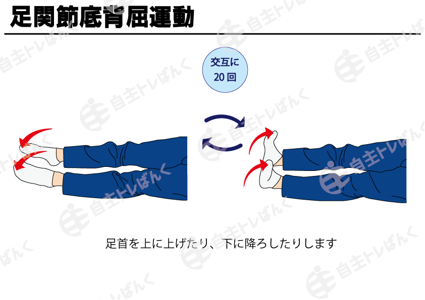 深部静脈血栓症足関節底背屈運動 _ 深部静脈血栓症 リハビリ 禁忌 – DEMWSJ