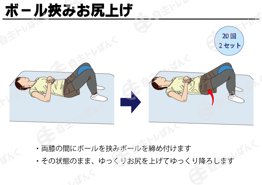 ボール挟みお尻上げ | 自主トレばんく 筋トレ・ストレッチ・リハビリのイラスト資料