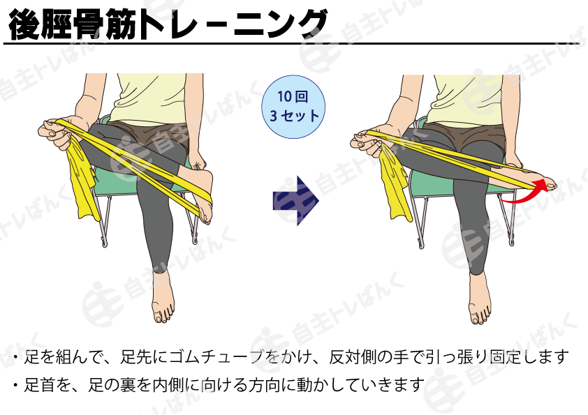 後脛骨筋トレーニング(ゴムチューブ) | 自主トレばんく 筋トレ・ストレッチ・リハビリのイラスト資料