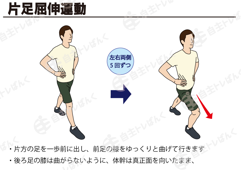 片足屈伸運動 | 自主トレばんく 筋トレ・ストレッチ・リハビリのイラスト資料