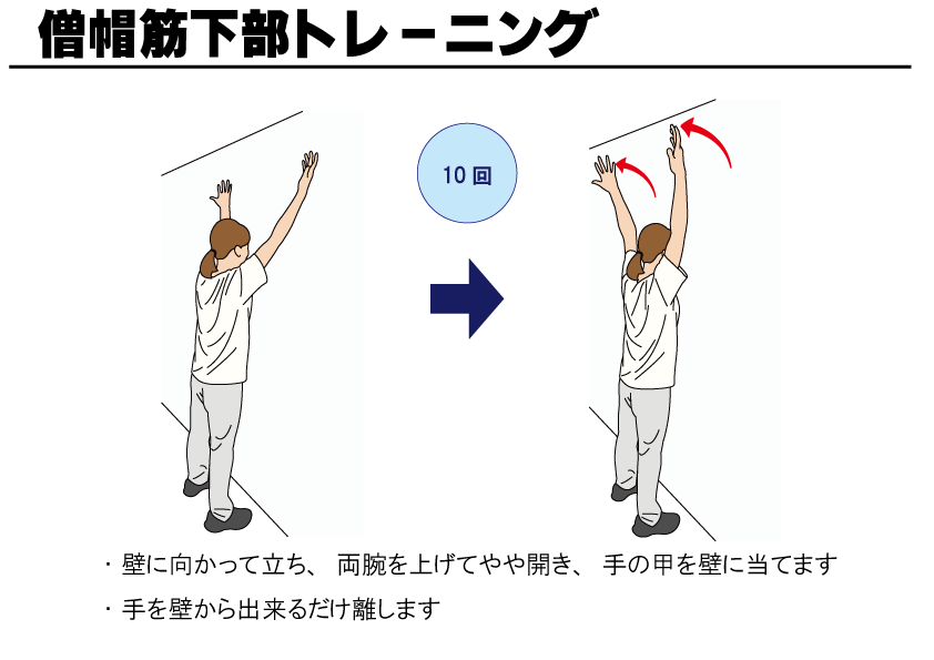 上肢 | 自主トレばんく 筋トレ・ストレッチ・リハビリのイラスト資料